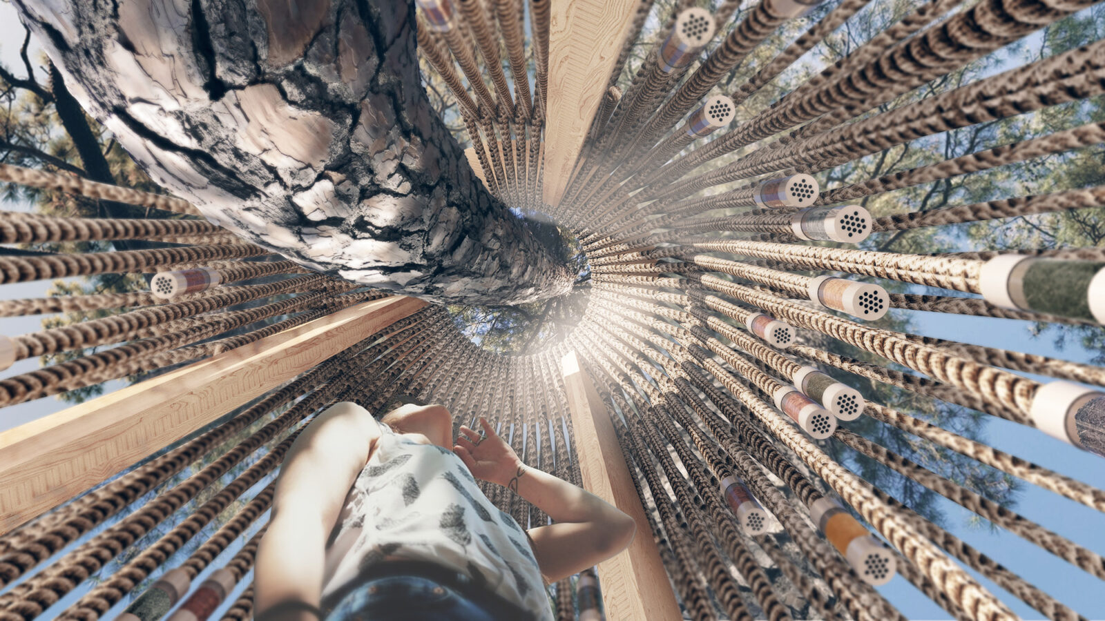 Kew Gardens Tree Houses