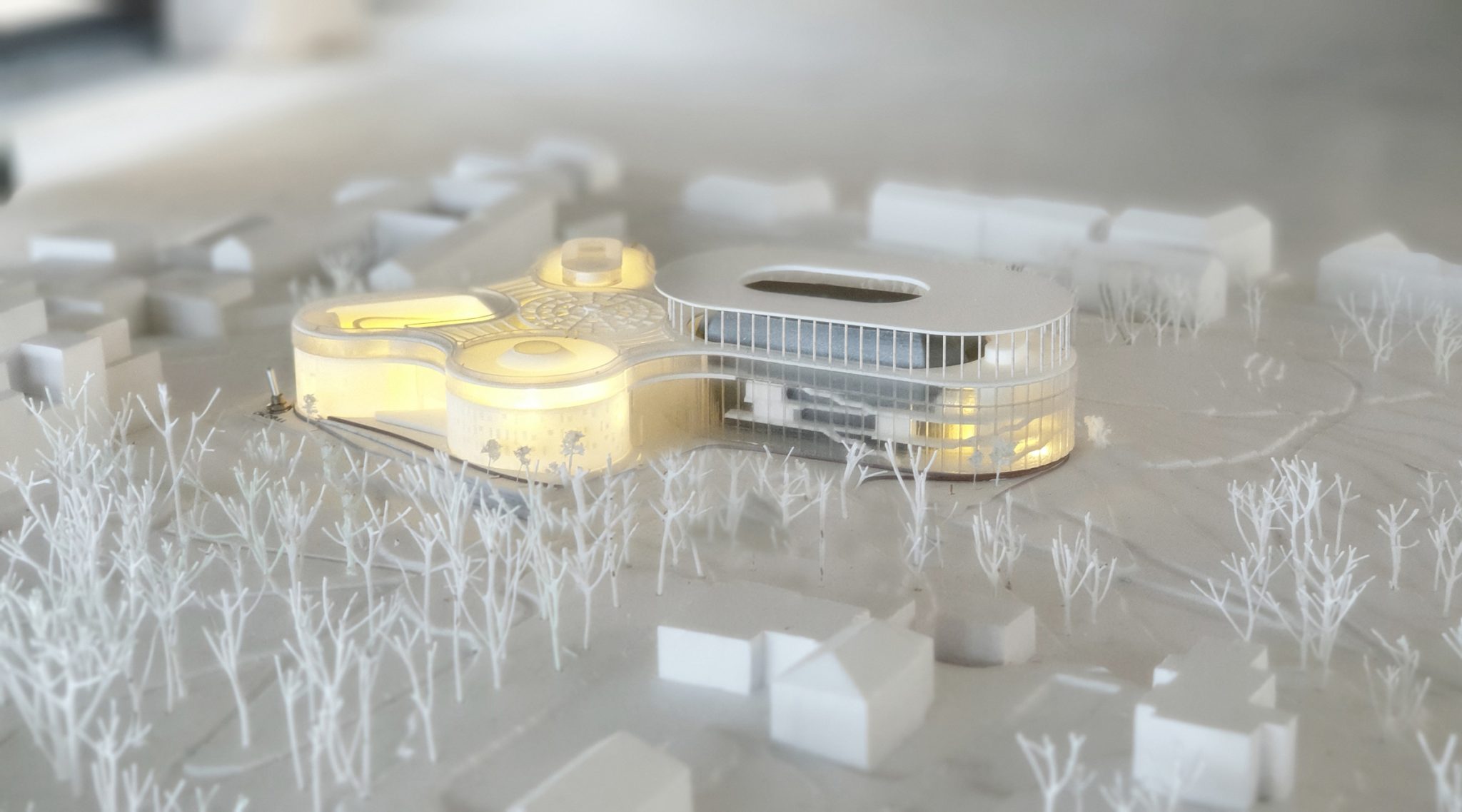 Vilnius concert hall competition model